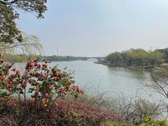 -长广溪湿地公园