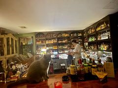 -OX BAR 拉培耶小镇(大连老街店)