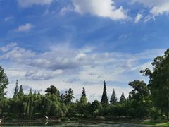 -两河城市森林公园