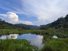-普洱太阳河森林公园