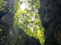 -牛背梁国家森林公园