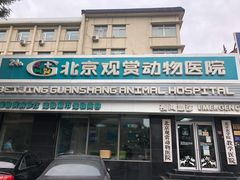 -北京观赏动物医院·24小时大型综合·猫专科·异宠专科