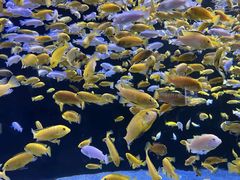 -成都浩海立方海洋公园