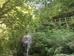 -西安祥峪森林公园