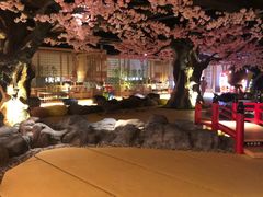 -蓝鲸湾汤泉(包河店)