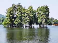 -东湖食堂·湖景餐厅•会议