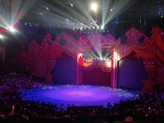 -珠海横琴长隆《卡卡虎奇遇记》