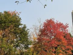 -重庆中央公园(渝北区)