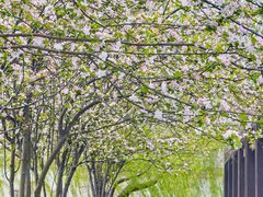 -西山漾湿地公园