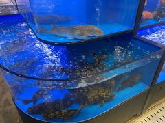 -盒马鲜生(皇庭广场店)