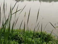-美兰湖景区