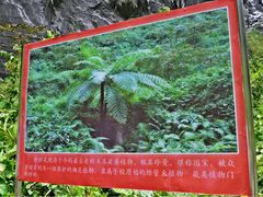 android_upload_pic-百魔洞景区