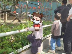 -深圳野生动物园