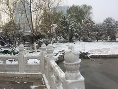 -西海子公园
