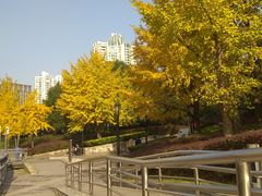 -苏州河梦清园环保主题公园