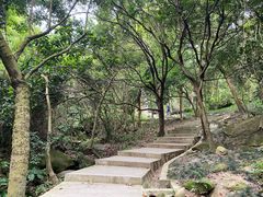 -火炉山森林公园