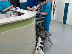 -总动员动物医院(宝丰院店)