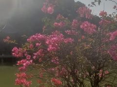 -云溪植物园