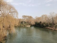 -济南大明湖景区