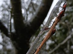 -湖南嵩云山国家森林公园