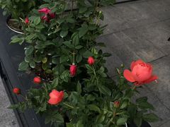 -星巴克(南京同曦万尚城店)