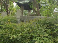 -云龙山