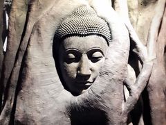 -西安大唐西市博物馆