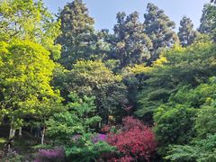 -莫干山风景区