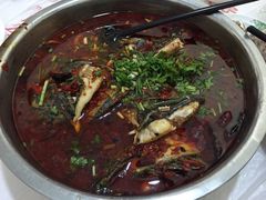 -风鑫铃罗非鱼(道沟店)