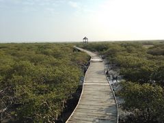 -北海金海湾红树林生态旅游区