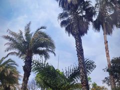 -昆明柏联SPA温泉