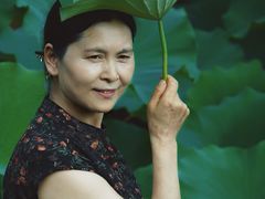 -合肥滨湖国家森林公园