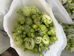 -合肥市裕丰花鸟虫鱼市场