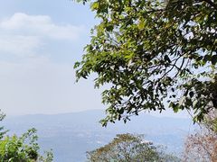 -火炉山森林公园