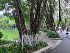 -南宁市动物园
