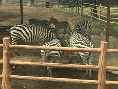 -西安秦岭野生动物园