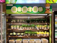自助取餐区-串一火锅(赛格国际购物中心店)