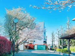 -成都濑川外国语学校