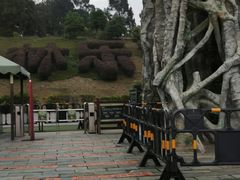 -云南野生动物园