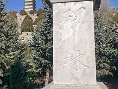 -雁门关景区