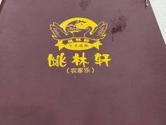 -姚林轩