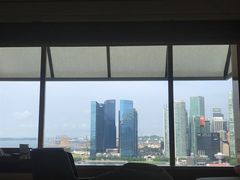 -新加坡丽思卡尔顿美年酒店