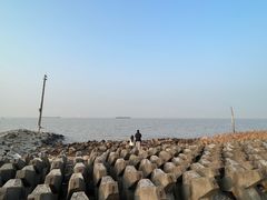 -上海滨江森林公园