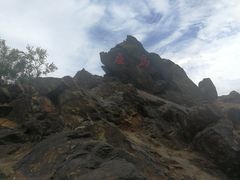 -大鹿岛