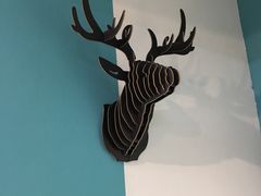 -派多格宠物·购宠(靛厂路店)