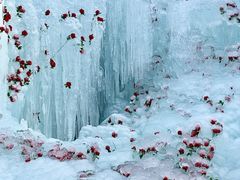 -洛阳白云山景区