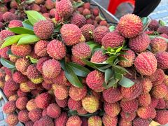 -创味·民间海南菜·非遗藤桥排骨(藤桥·免税城店)