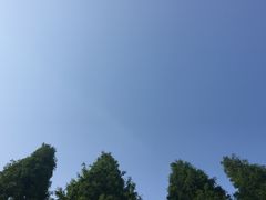 -青岛银河学校