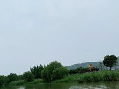 -长兴太湖图影湿地文化园