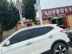 -特克斯八卦城